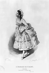Suzanne, illustrazione dall
